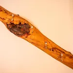 Srednja Vas Srednja Vas v Bohinju