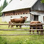 Feriehus Srednja Vas