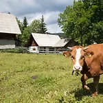Srednja Vas * Srednja Vas v Bohinju