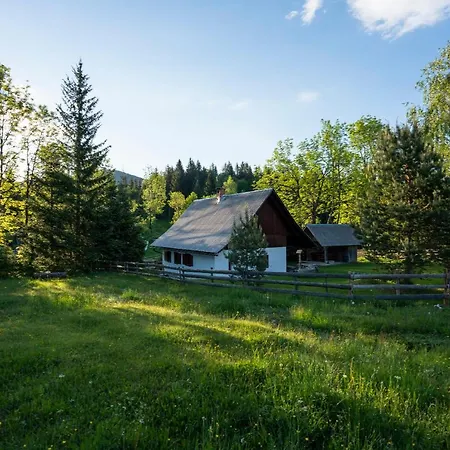 Srednja Vas Srednja Vas v Bohinju