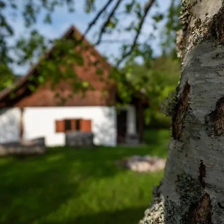 Srednja Vas Feriehus