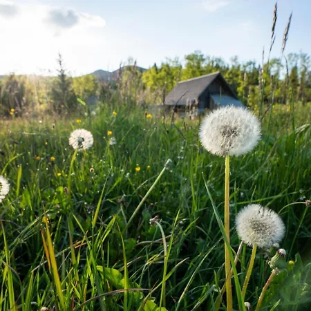 Holiday home Srednja Vas