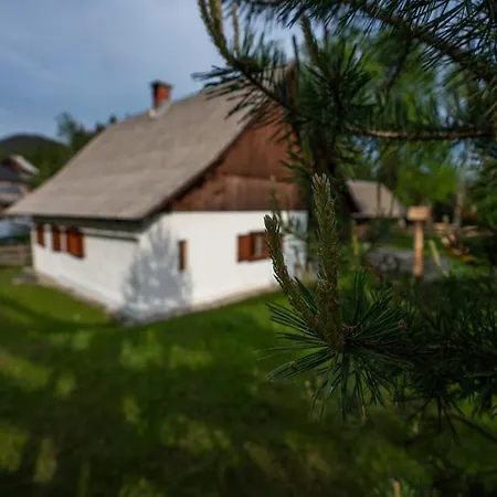 Holiday home Srednja Vas *