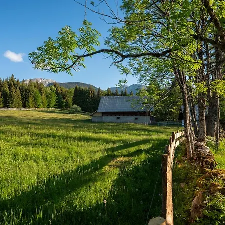 Holiday home Srednja Vas *