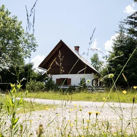 Srednja Vas Holiday home