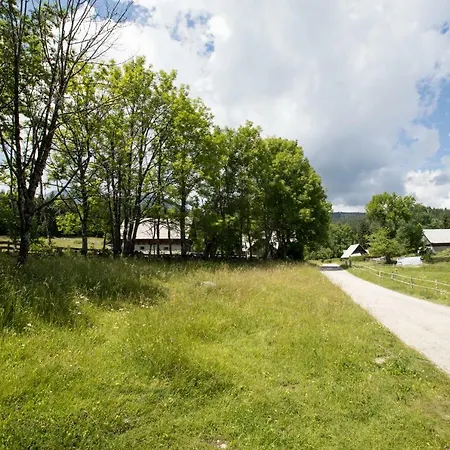 Srednja Vas Holiday home Srednja Vas v Bohinju