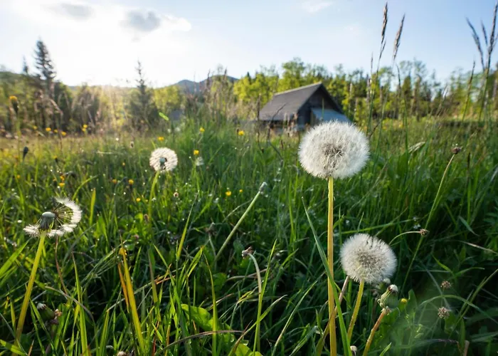 Hébergement de vacances Srednja Vas