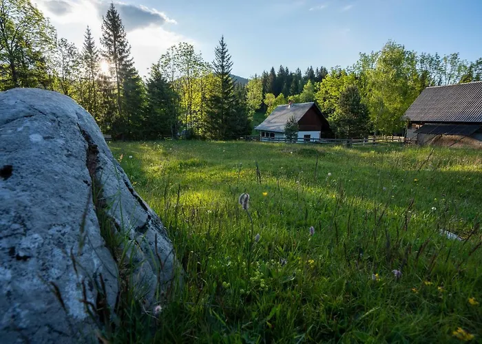 Hébergement de vacances Srednja Vas Srednja Vas v Bohinju