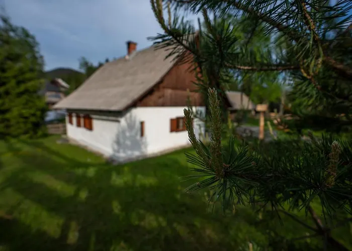 Hébergement de vacances Srednja Vas *