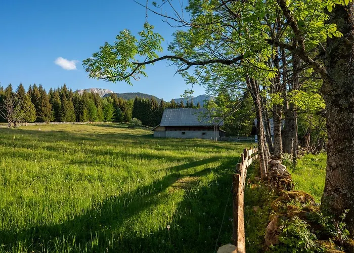 Hébergement de vacances Srednja Vas *