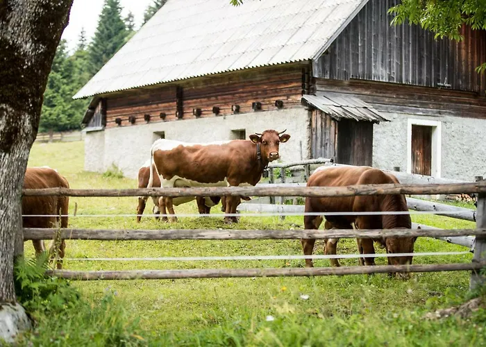 Hébergement de vacances Srednja Vas