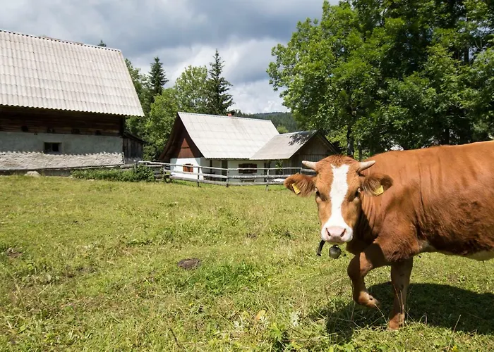 Srednja Vas * Srednja Vas v Bohinju